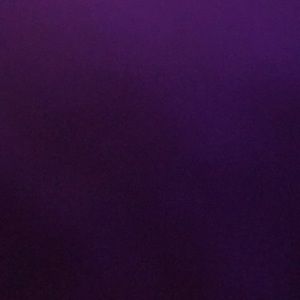 Meet your Posher, Tanner